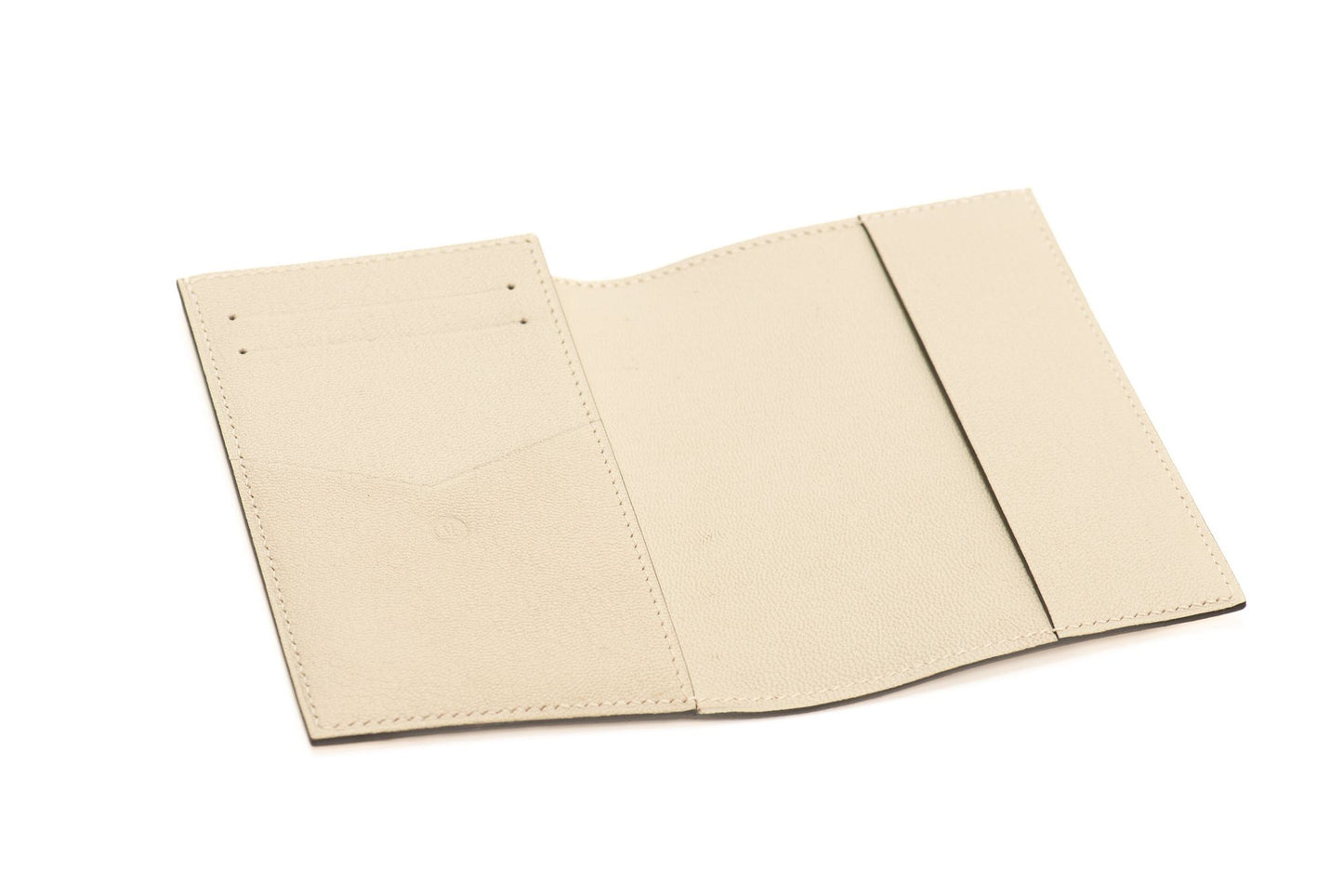 OMBRE LIZARD PASSPORT HOLDER