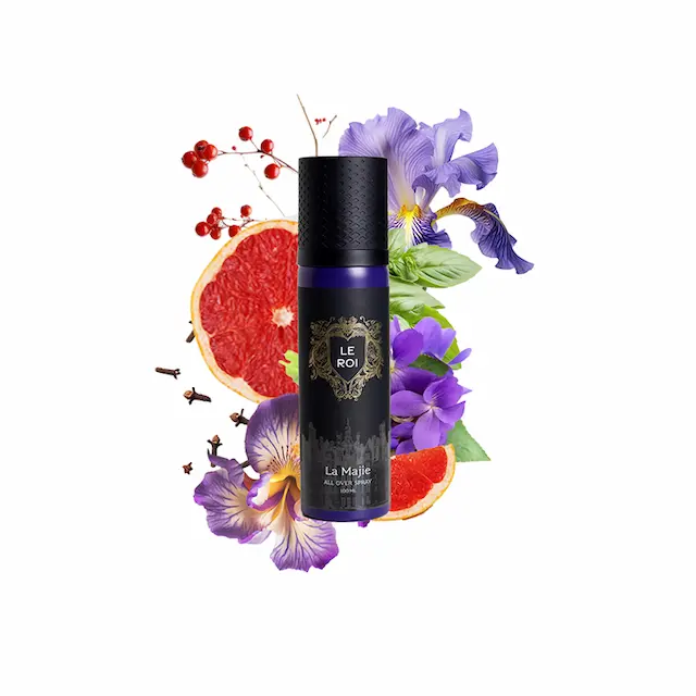 LE ROI ALL OVER SPRAY - LA MAJIE