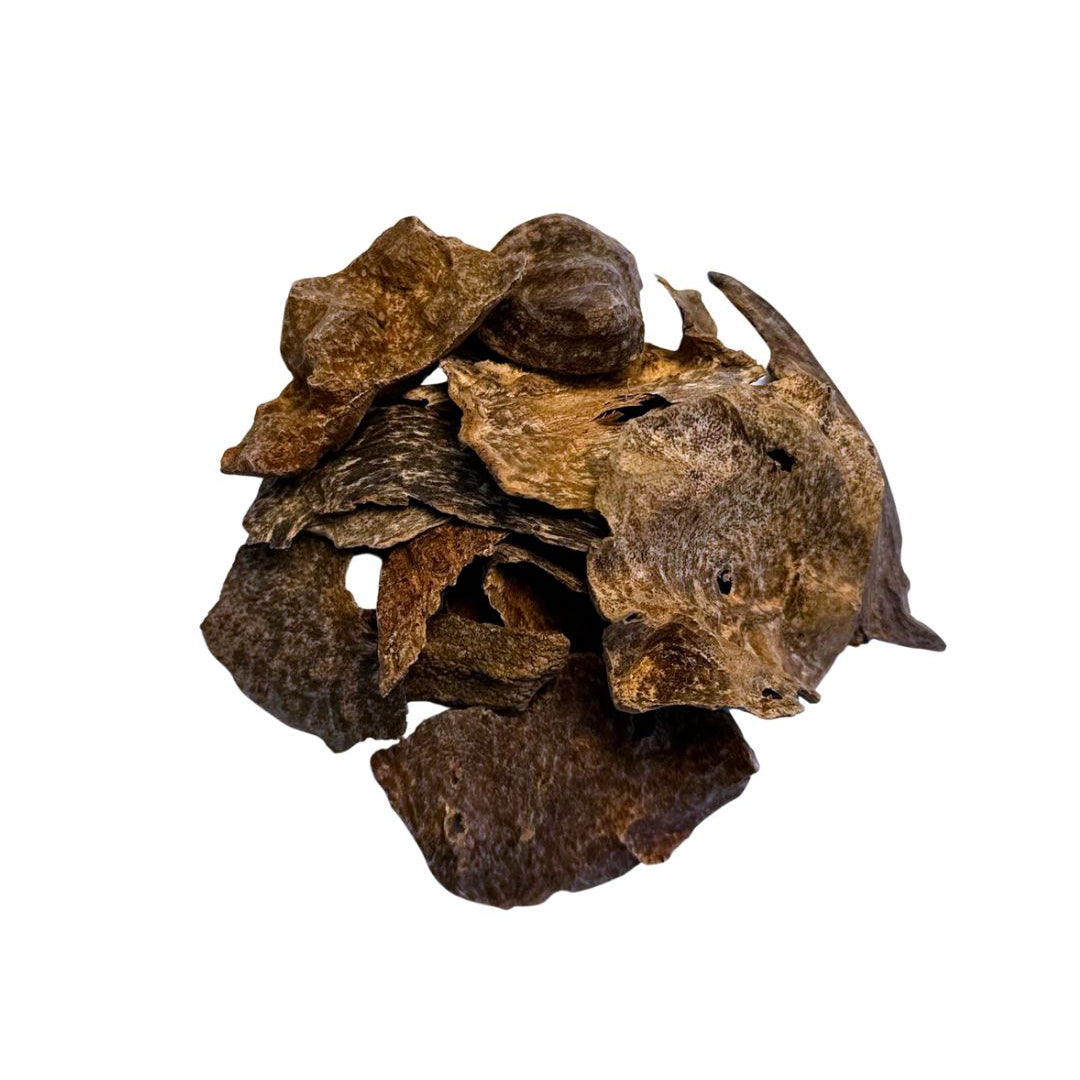 vintage ceylon adams forest grade aaa