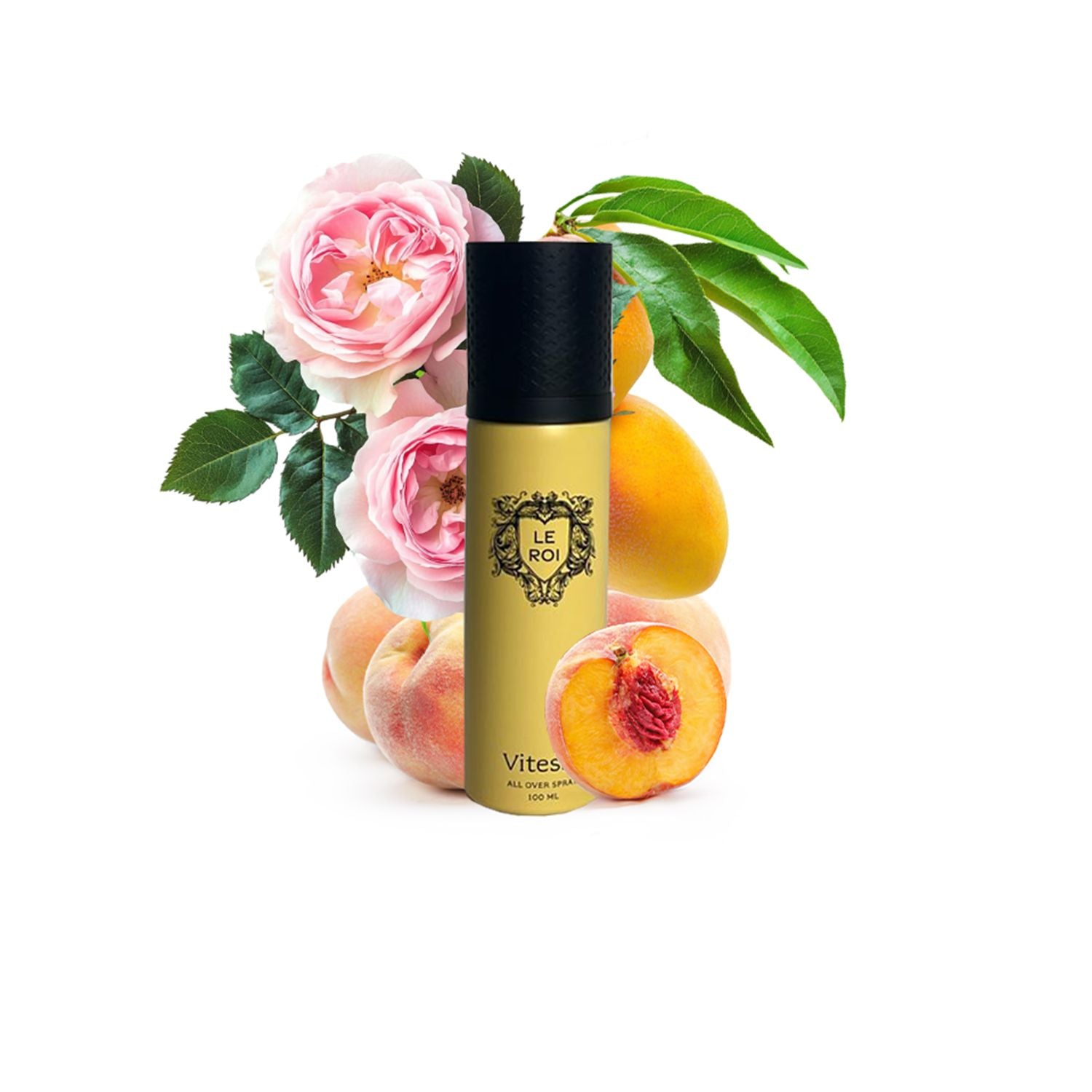 LE ROI ALL OVER SPRAY - VITESSE