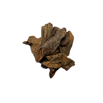 collector grade - philippines letti forest underwater chuncks